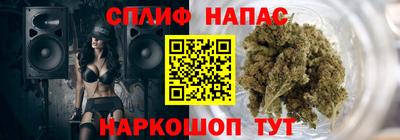 молекула духа Тверь