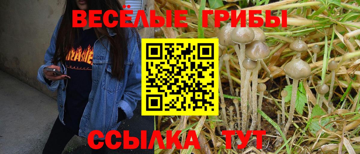 Галлюциногенные грибы Cubensis  Вход с VPN  наркотики  Галлюциногенные грибы Psilocybe  Кузнецк 