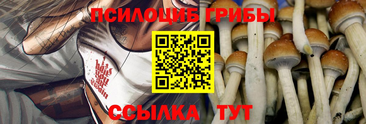 Галлюциногенные грибы Cubensis Кузнецк